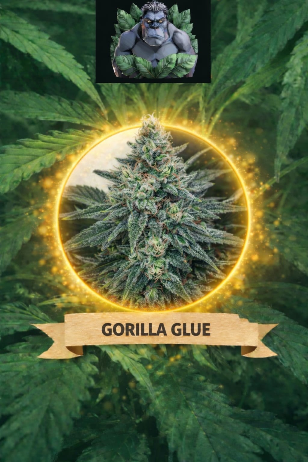 Cannaking Gorilla Glue Feminized