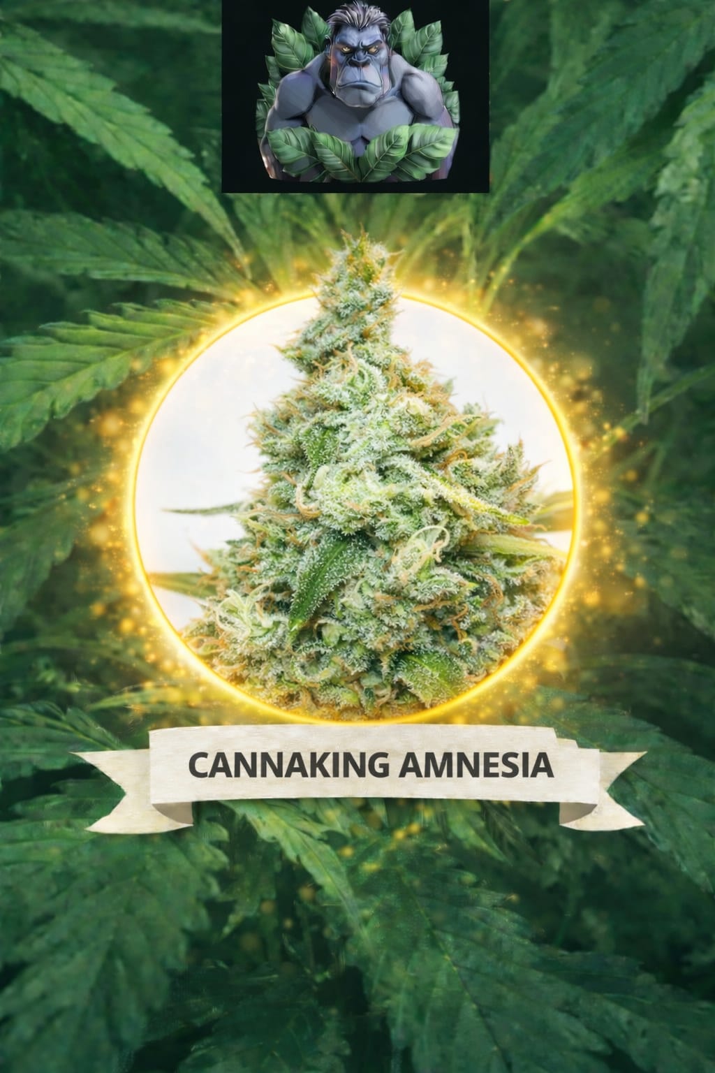 Cannaking Amnesia Feminized