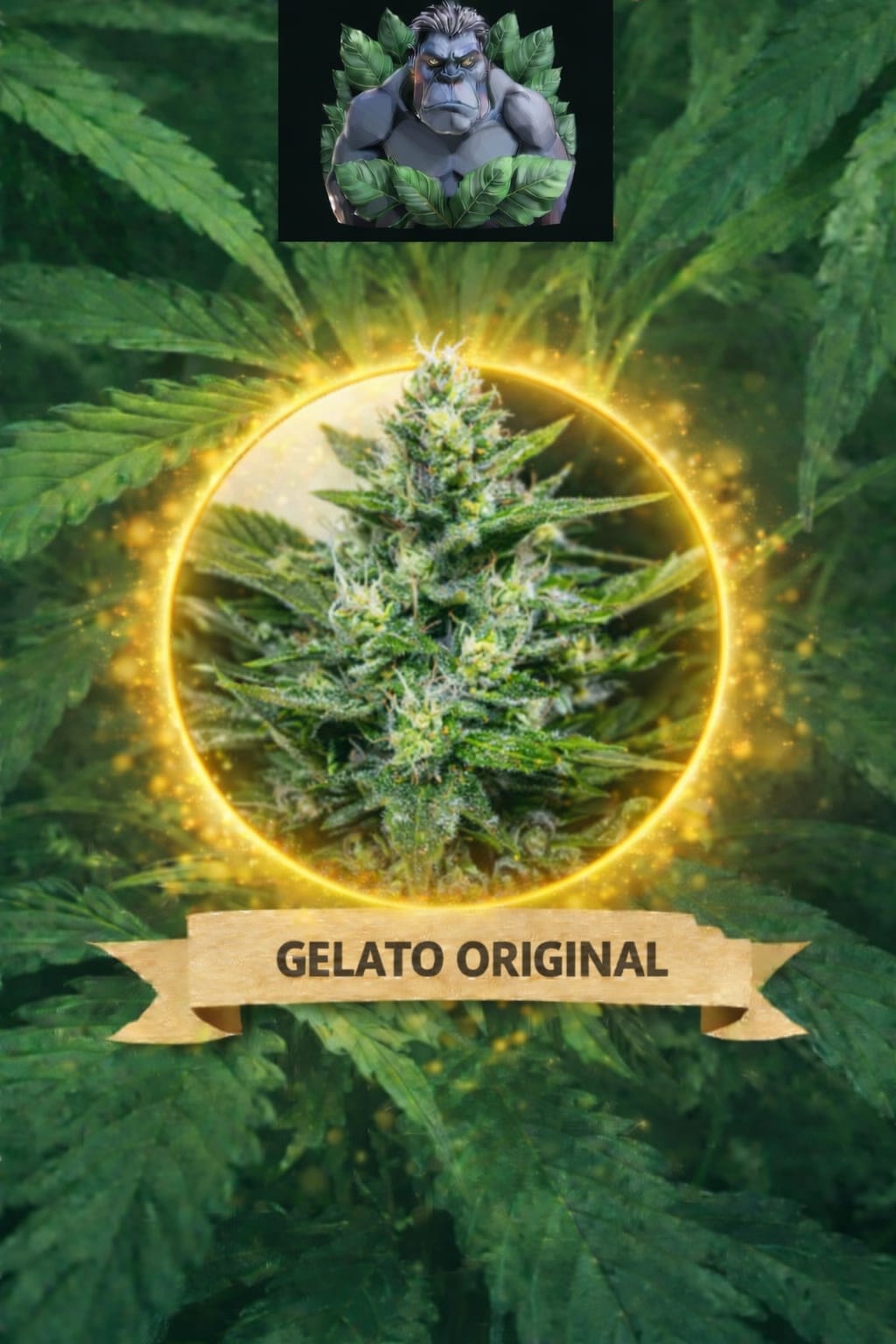 Cannaking Gelato Original Feminized