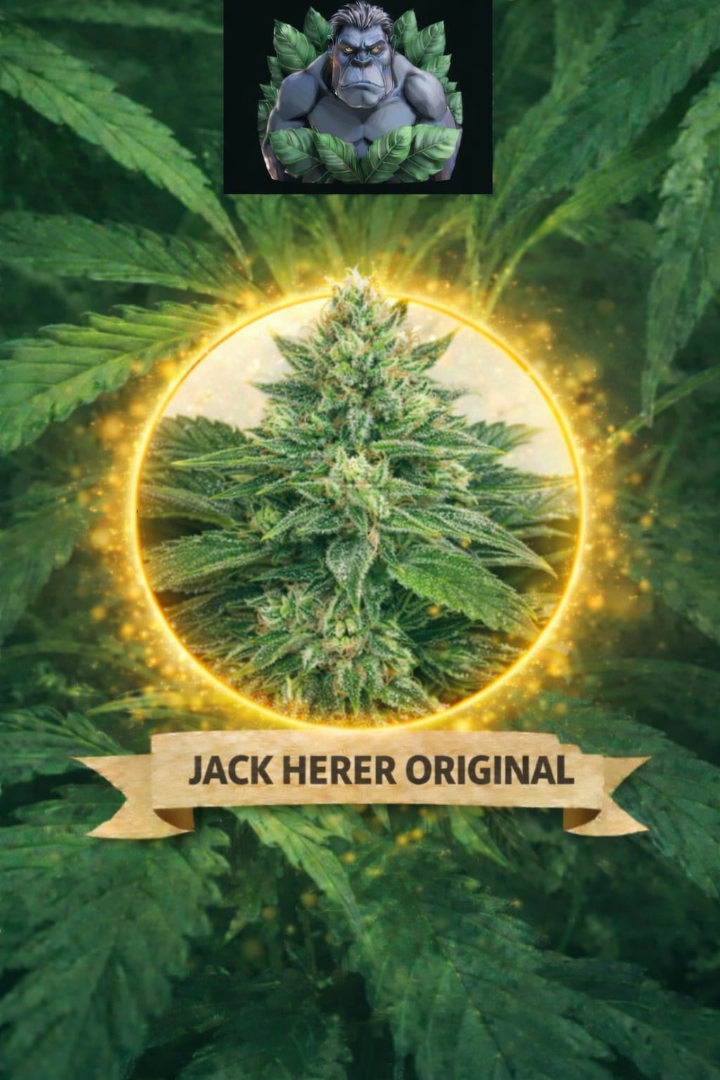 Cannaking Jack Herer Original Feminized