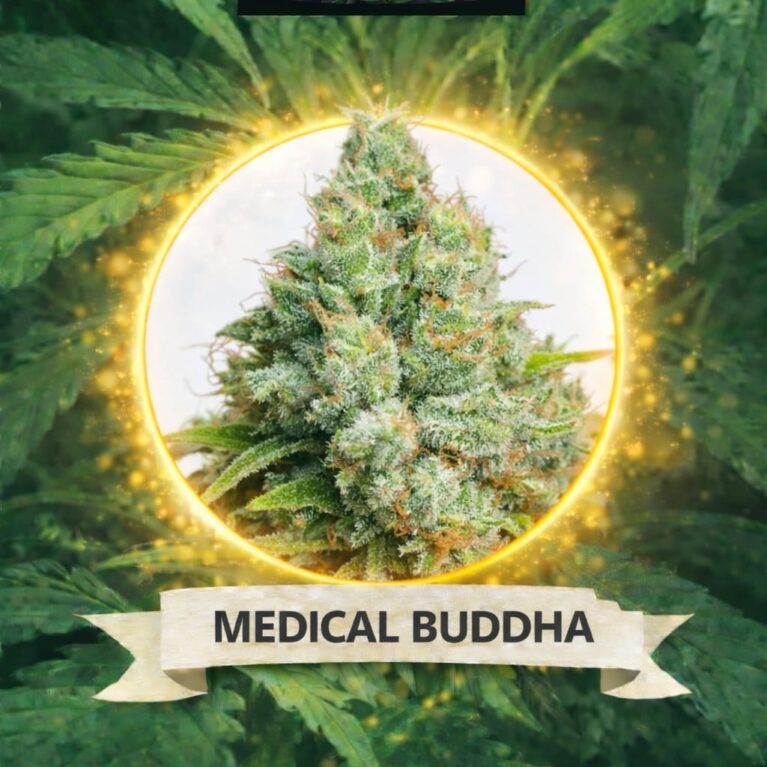 Cannaking Medical Buddha