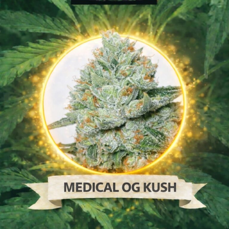 Cannaking medical OG Kush