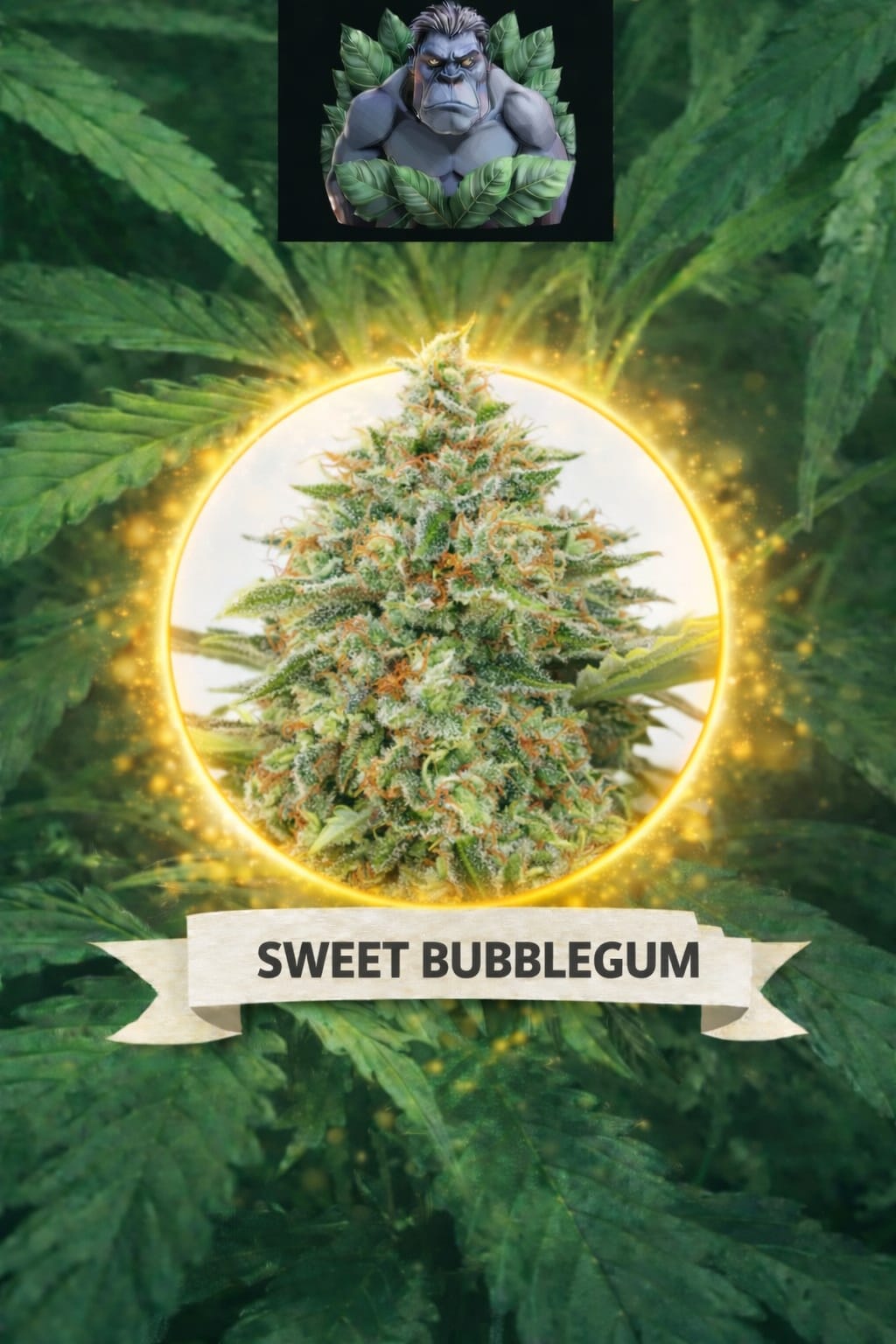 Cannaking  Sweet Bubblegum Feminized